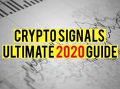 Read Smart Options Crypto Signals Online