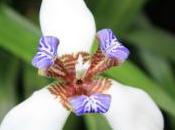 POEM: Everyday Magic