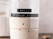 Make Gluten-Free Sourdough Starter