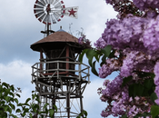 Final Weekend: 2021 Lilac Days Hulda Klager Gardens