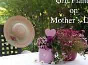 Gift Plants This Mother's