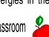 Allergy Triggers, What Need Know