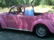 Writers Need Pink Beetles