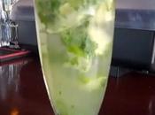 Idiot’s Guide Mainstream Media Mojitos