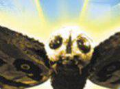 Mothra Real? Mutant Butterflies Spawned Radiation Fallout
