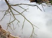 One. Cubbys Camp Cut-Out Camp, Great South West Walk, Victoria.