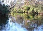 POEM: Downstream Movement