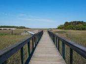 Coastal Discovery Museum Hilton Head Great Ages