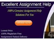 Anthropology Essay Service Professional Outstanding With Pocket-Friendly Prices