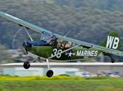 Cessna OE-1 Bird