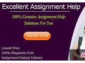 Hire Appoint Only Professional Assignment Help Writers Compose Writing