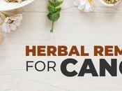 Herbal Remedies Cancer, Ayurvedic Treatment Causes Symptoms