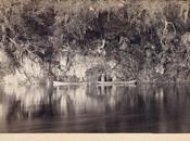 Early Photography: Under Bluffs Withlacoochee River, Florida