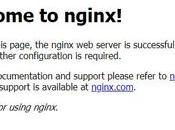 Install Nginx Ubuntu 21.04 Server