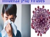 Herbal Remedies Influenza