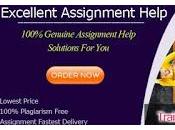 Want Hire Training Development Essay Writing Sydney? Don’t Worry Your Service!