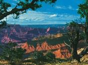 Grand Canyon Albuquerque #50YearsAgoToday #CaliforniaTrip