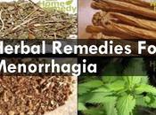 Herbal Remedies Menorrhagia