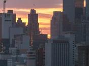 Friday Fotos: Over Last Week, Sampler...