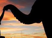 Adventure Travel: Visit Botswana Learn Bush Skills!