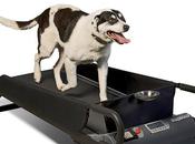 Your Wants Walk—on Treadmill