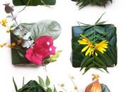 About Packaging: Nature Wraps