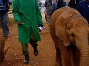 Kristin Bauer Straten Kenya Sheldrick Elephant Orphanage