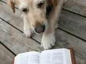 Dictionary Dogs