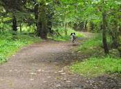 Scotland 2012: Visit Cromarty