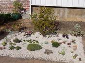 Finally, Some Real Progress