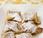 Crispy Biscoff Wontons