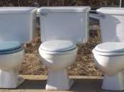 Wacky Fundraising Ideas