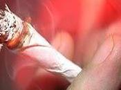 Research Suggests Marijuana Gateway Drug Believed