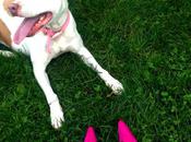 Could J.Crew Except Shoes Were Cheap.