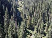 Trail Hiawatha Starts Montana Ends i...