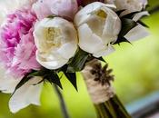 PapaKata Wedding Cheshire