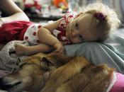 Dogs Deliver Medicine Kids Children’s Hospital