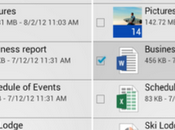 SkyDrive Android Officially Present