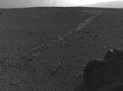 Curiosity Could Contaminated with Earth Bacteria, Threatening Search Mars Life
