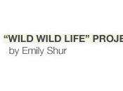 “Wild Wild Life” Project Emily Shur