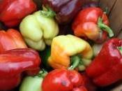 Indiana Farmer’s Markets: Rensselaer,