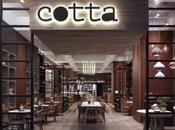Cotta Cafe Design