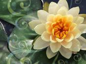 Ways Feel Better Shine More Brightly