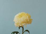 Fresh Onlys’ Long Slow Dance