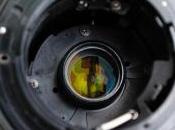 Packing List Dissection Things Want