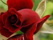 VLOG: Free Your Self From Pride