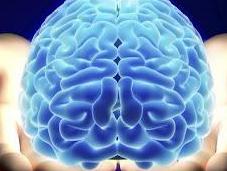 Does Brain Research Obscure Addiction’s Root Causes?