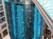 Aquadom, Worlds Largest Freestanding Cylindrical Aquarium