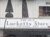 Wandering Into Dream (The Lucketts Store Design House)