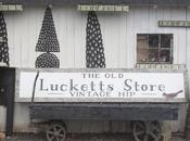 Wandering Into Dream (The Lucketts Store Design House)